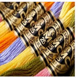 OneRoom French DMC Floss Bordu - Cotton Embroidery Thread Skeins recensie en prijs
